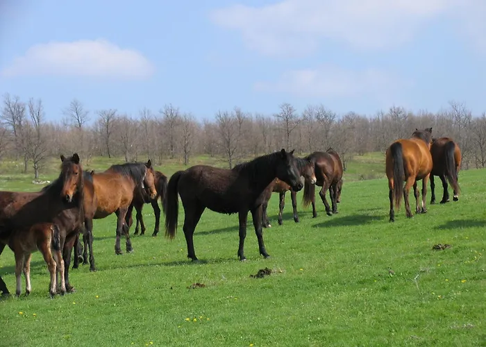 Hotel Lilia 2 Family Primorsko