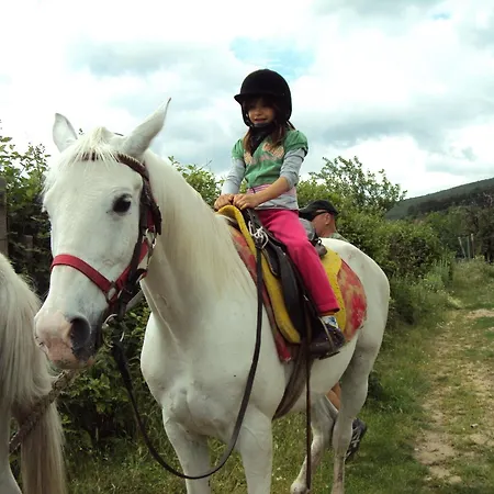 Lilia 2 Family Хотел