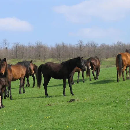 Хотел Lilia 2 Family Приморско